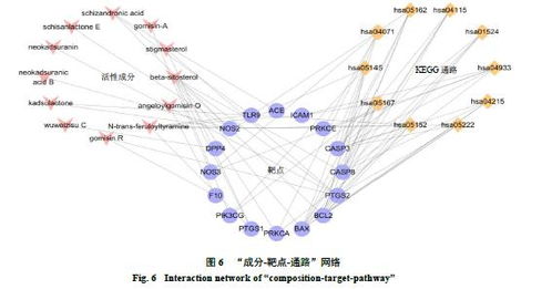 基于网络药理学和分子对接技术探讨生脉注射液抗新型冠状病毒肺炎的作用机制