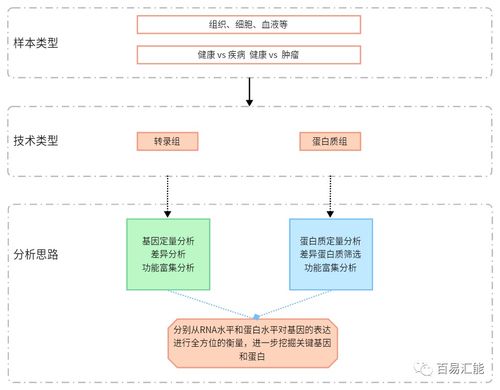 转录组与蛋白质组联合分析在医学研究中的应用 开启后基因组时代的新维度