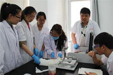 中国医科大学网站 医学研究的前沿阵地与创新引擎